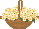 basket of daisies