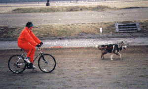 Comet Biking