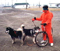 Glacier Biking