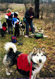 Comet and group