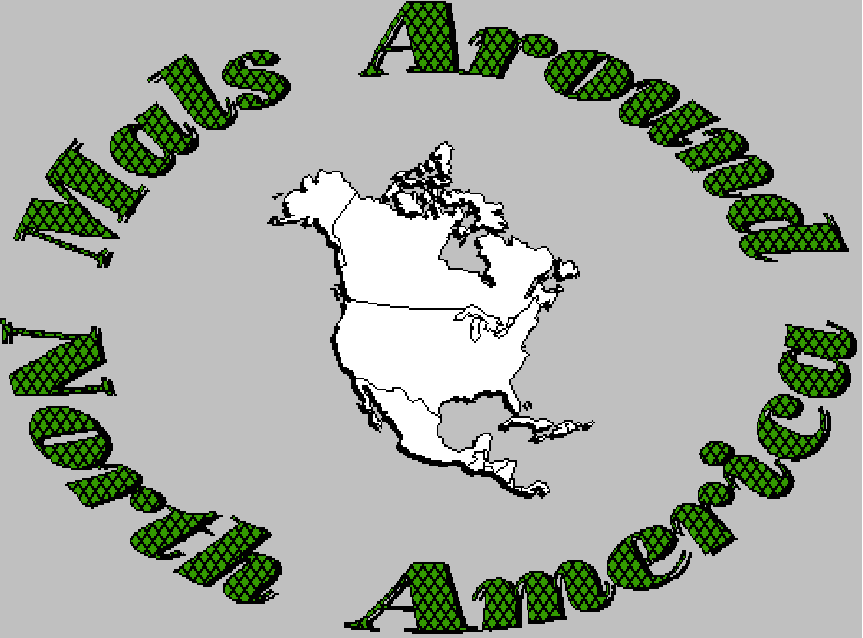 North America Logo