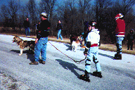 Roller-joring