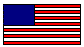 USA Flag