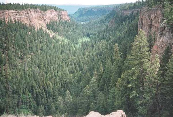 Picture of Chasm, BC. Near Clinton, this spot is a must see!!