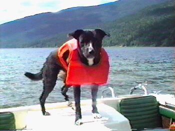 Mandy on the back of the boat.