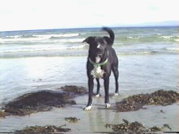 Mandy at Tribune Bay