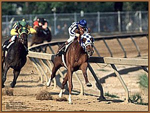 Secretariat wins the 1973 Preakness Stakes