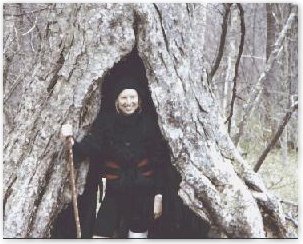 Photo of Sunshine inside of large tree at Great Smoky Mountain National Park