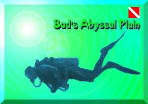 Bud's Abyssal Plain