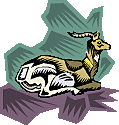 /clipart/pictures/Animals/doe.gif