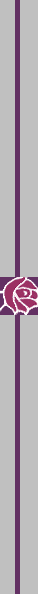 /clipart/vrules/Generic/Rose.gif