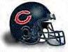 Bears Logo