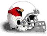 Arizona Cardinals Logo