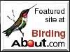 Featured site at Birding at About.com