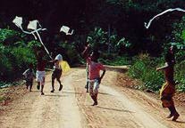 Kids and Kites, Lanta