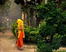 Monk Gardening