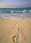 Footprints