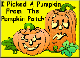 The Pumpkin Patch