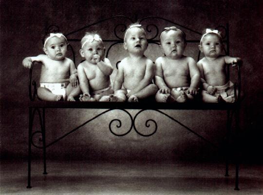 Babies on a bench