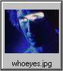 whoeyes.jpg