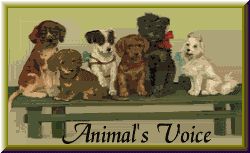 Click here to join the Animal's Voice Ring