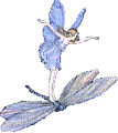 fairy on butterfly