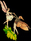 fairies