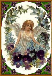 angel picture