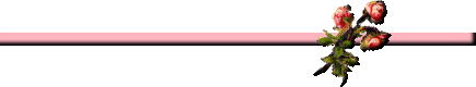 pink bar