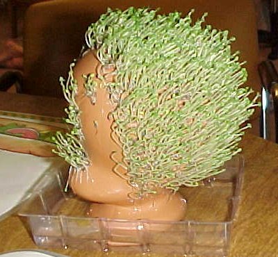 Chia Tweety