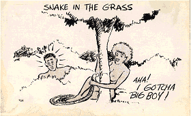 Snake in the grass