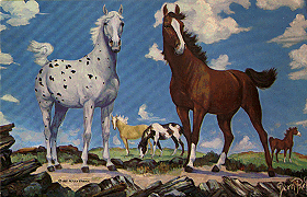 Horses