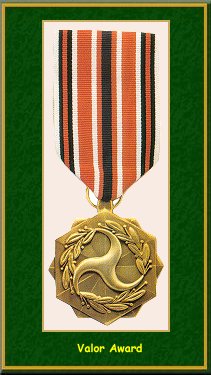 Valor Award-Coast Guard