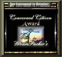 Environmental Award