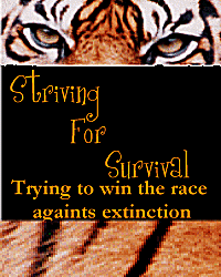 Striving For Survival Award