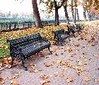 Autumn Leaves around Park Bench