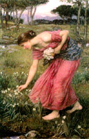 Narcissus Picker