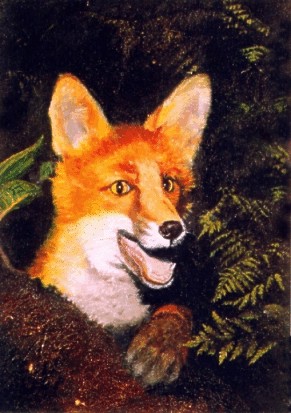 Fox