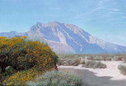 Borrego