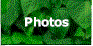 GreenPhotos.gif (2792 bytes)